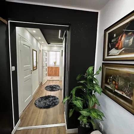 By Expert Delux *